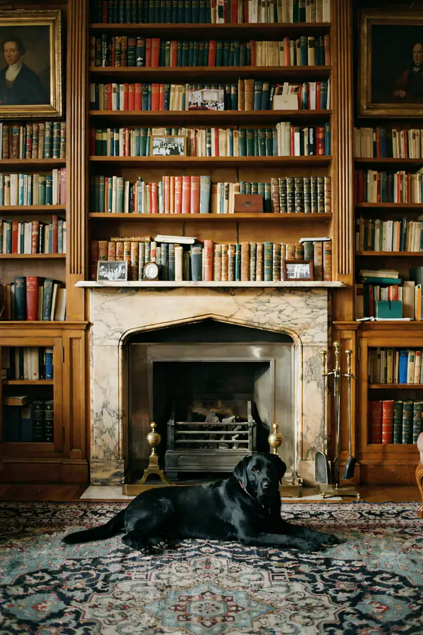 Black Labrador Wall Art — Fireside Library Print