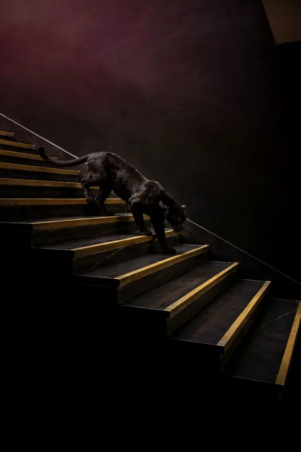 Black Panther Wall Art II — Panther on Brass Staircase Print