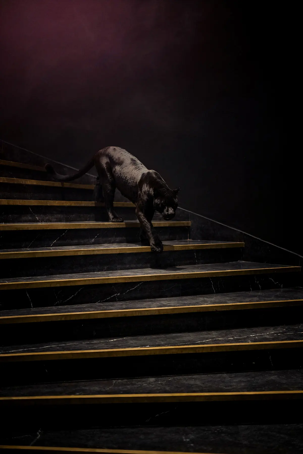 Black Panther Wall Art III — Panther on Brass Staircase Print, brass and black digital art print