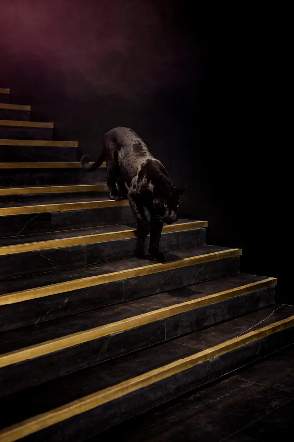 Black Panther Wall Art — Panther on Brass Staircase Print
