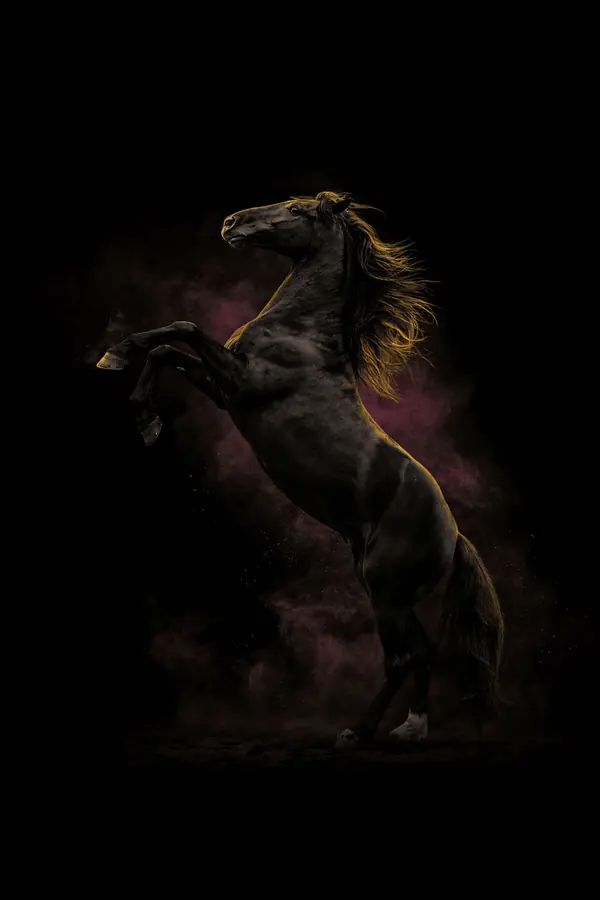 Black Stallion Wall Art — Brass Rim Light Horse Print