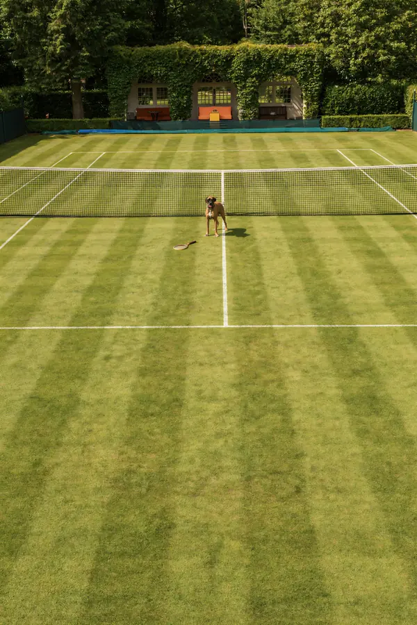 Boxer Dog Wall Art — Grass Tennis Court Print