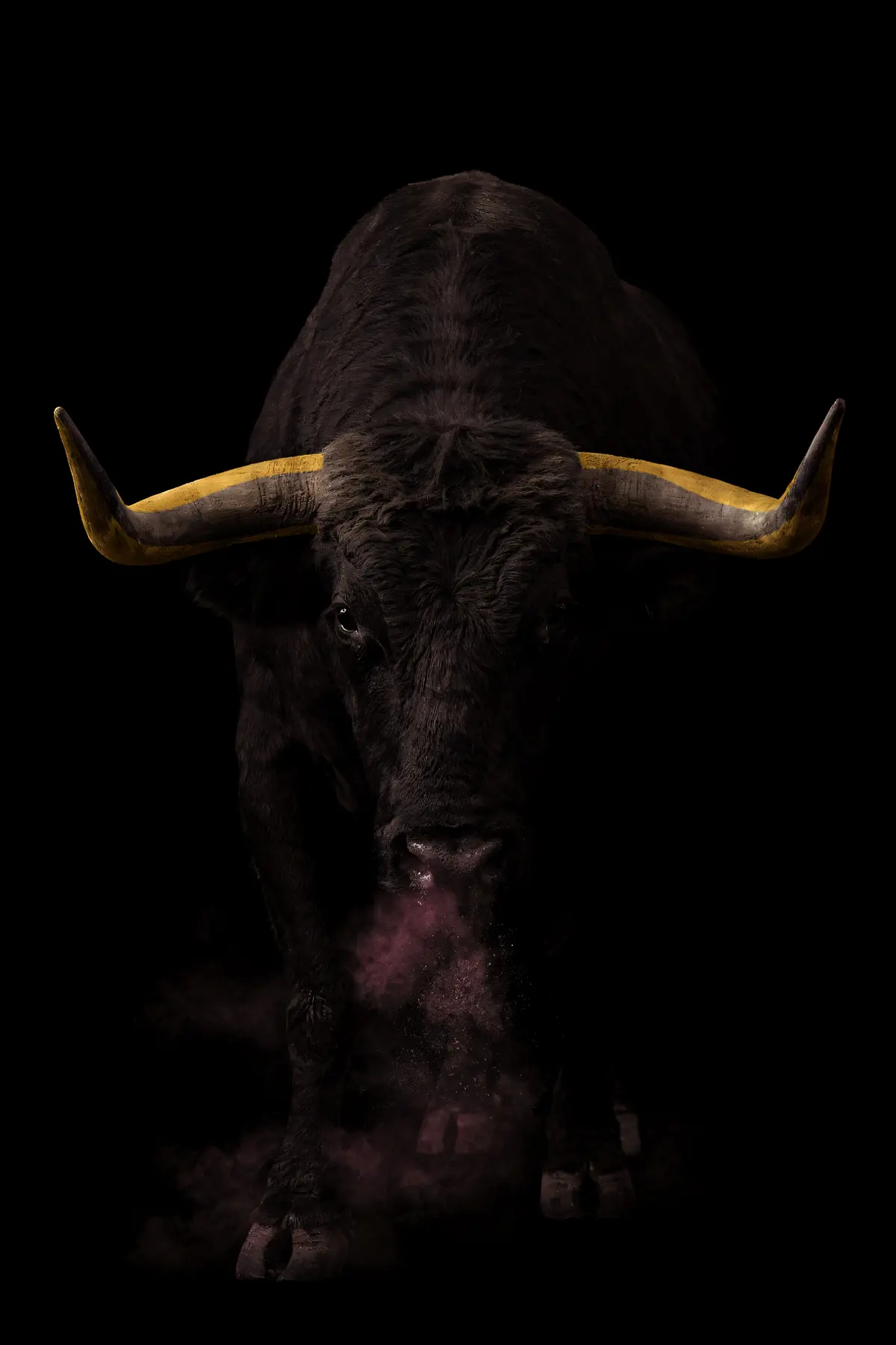 Bull Wall Art — Brass Horn Bull Print, brass and black digital art print