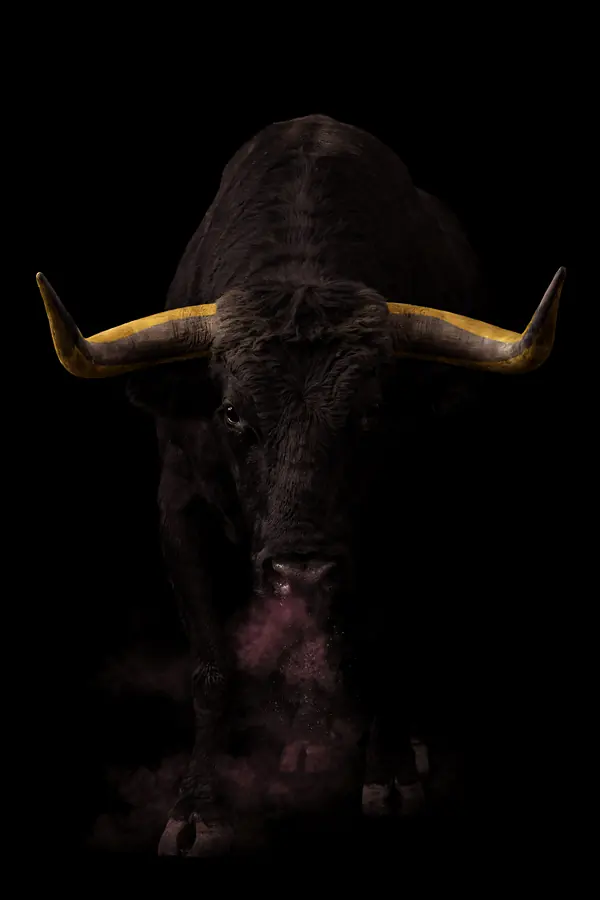 Bull Wall Art — Brass Horn Bull Print