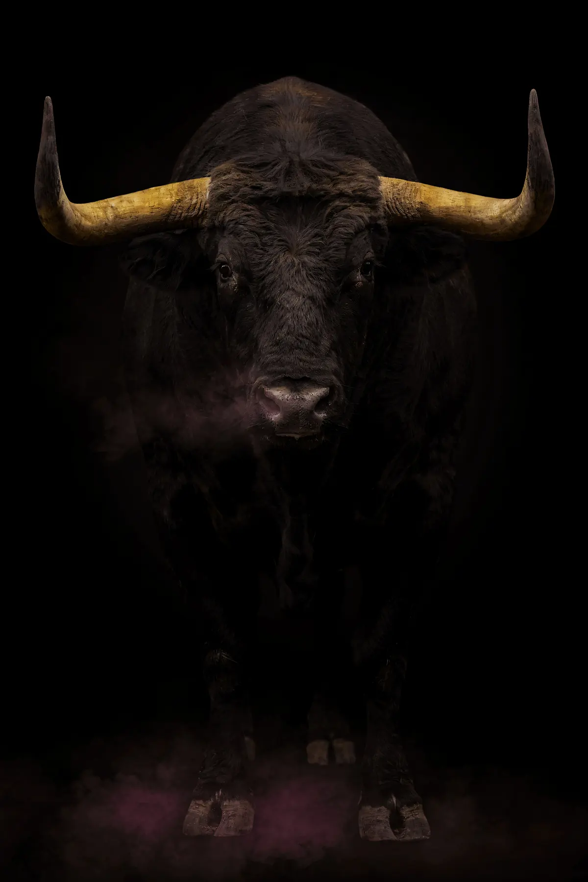 Bull Wall Art II — Brass Horn Bull Print, brass and black digital art print