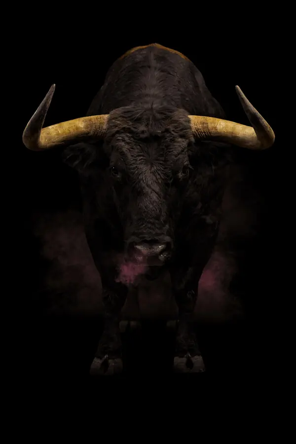 Bull Wall Art III — Brass Horn Bull Print