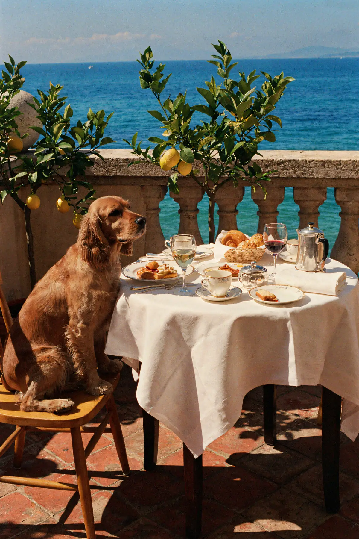 Cocker Spaniel Wall Art — Terrace Breakfast Print, brass and black digital art print