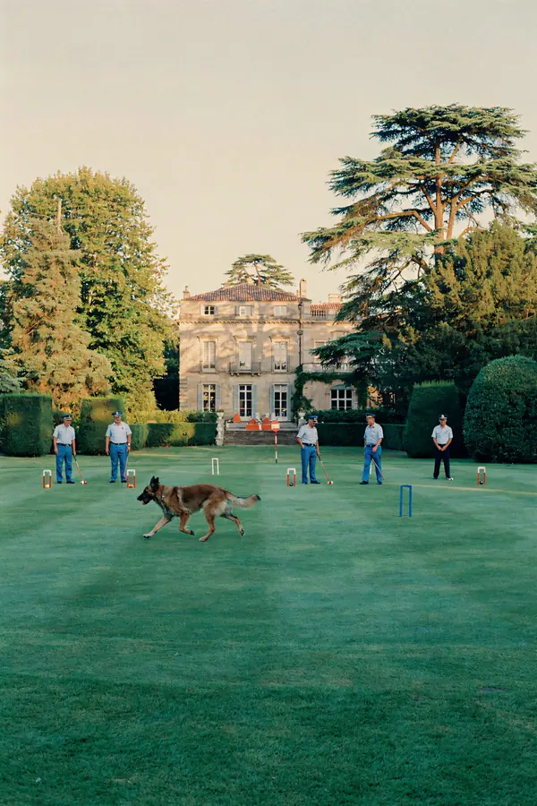 Dutch Shepherd Wall Art — Vintage Croquet Lawn Print