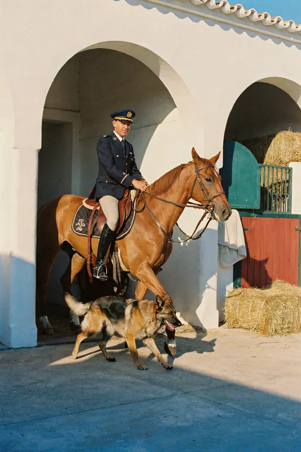 Dutch Shepherd Wall Art — Vintage Stable Horse Print