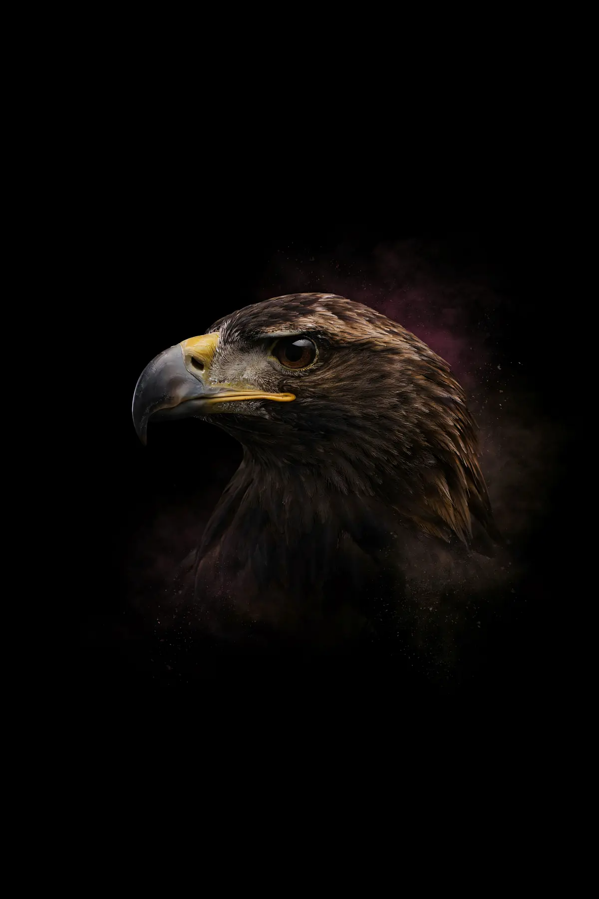 Eagle Wall Art — Brass Rim Light Eagle Print, brass and black digital art print
