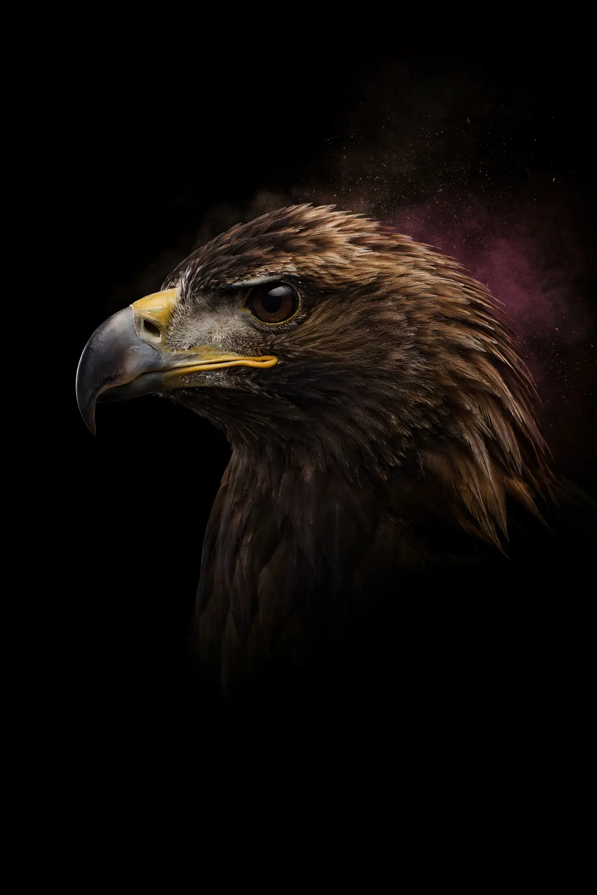 Eagle Wall Art II — Brass Rim Light Eagle Print, brass and black digital art print