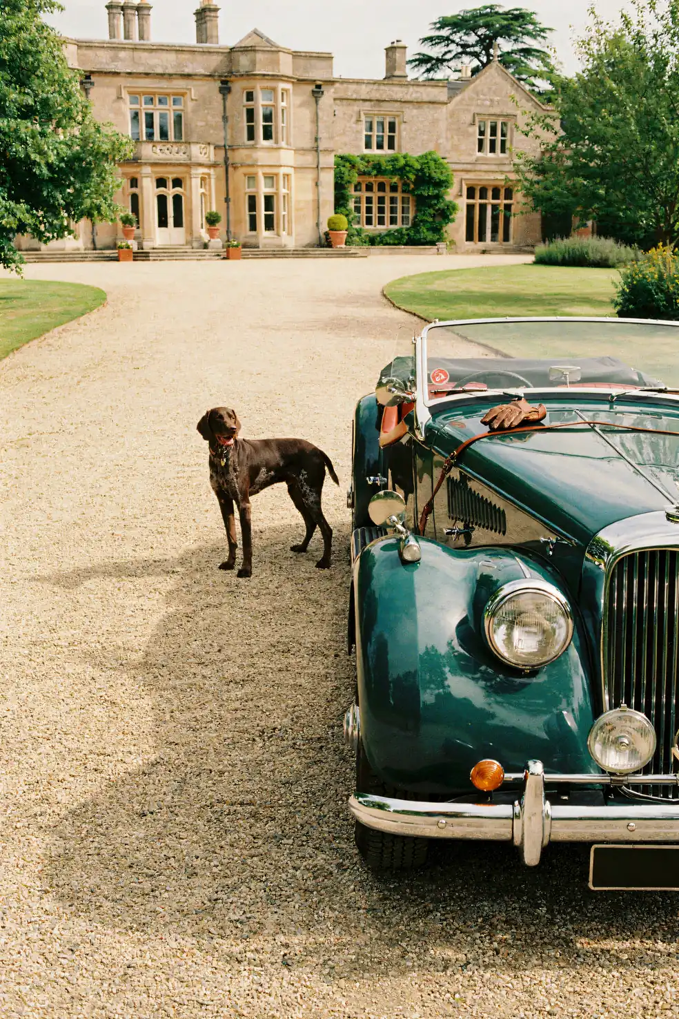 German Shorthaired Pointer Wall Art — Classic Car Print, brass and black digital art print