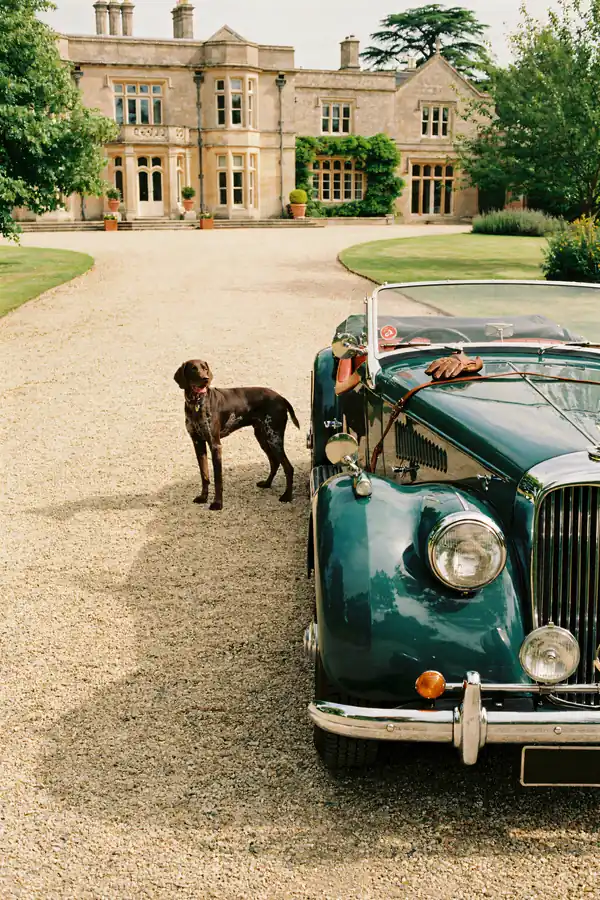 German Shorthaired Pointer Wall Art — Classic Car Print