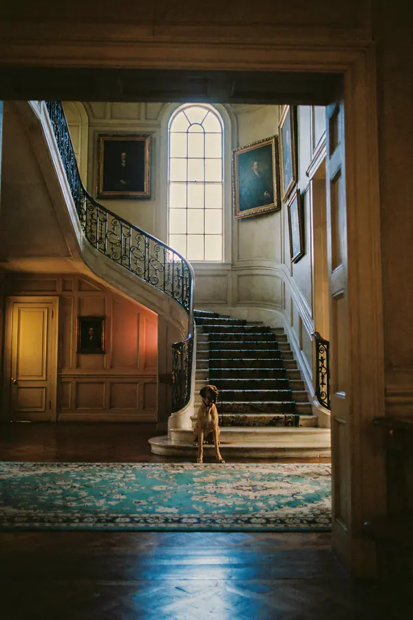 Great Dane Wall Art — Grand Staircase Print
