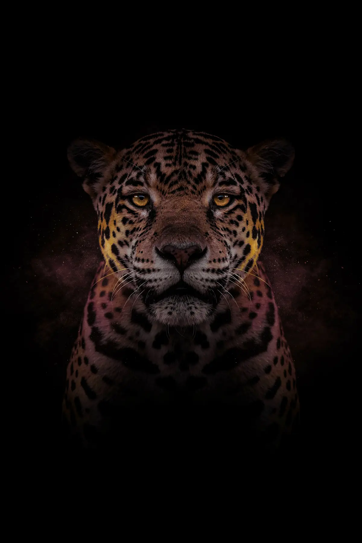 Jaguar Wall Art — Brass Rim Light Jaguar Print, brass and black digital art print