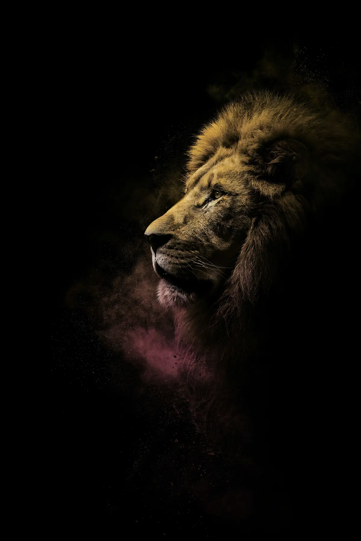 Lion Wall Art — Brass Rim Light Lion Print, brass and black digital art print
