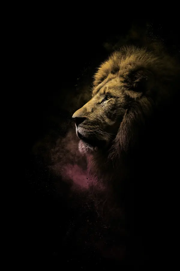 Lion Wall Art — Brass Rim Light Lion Print