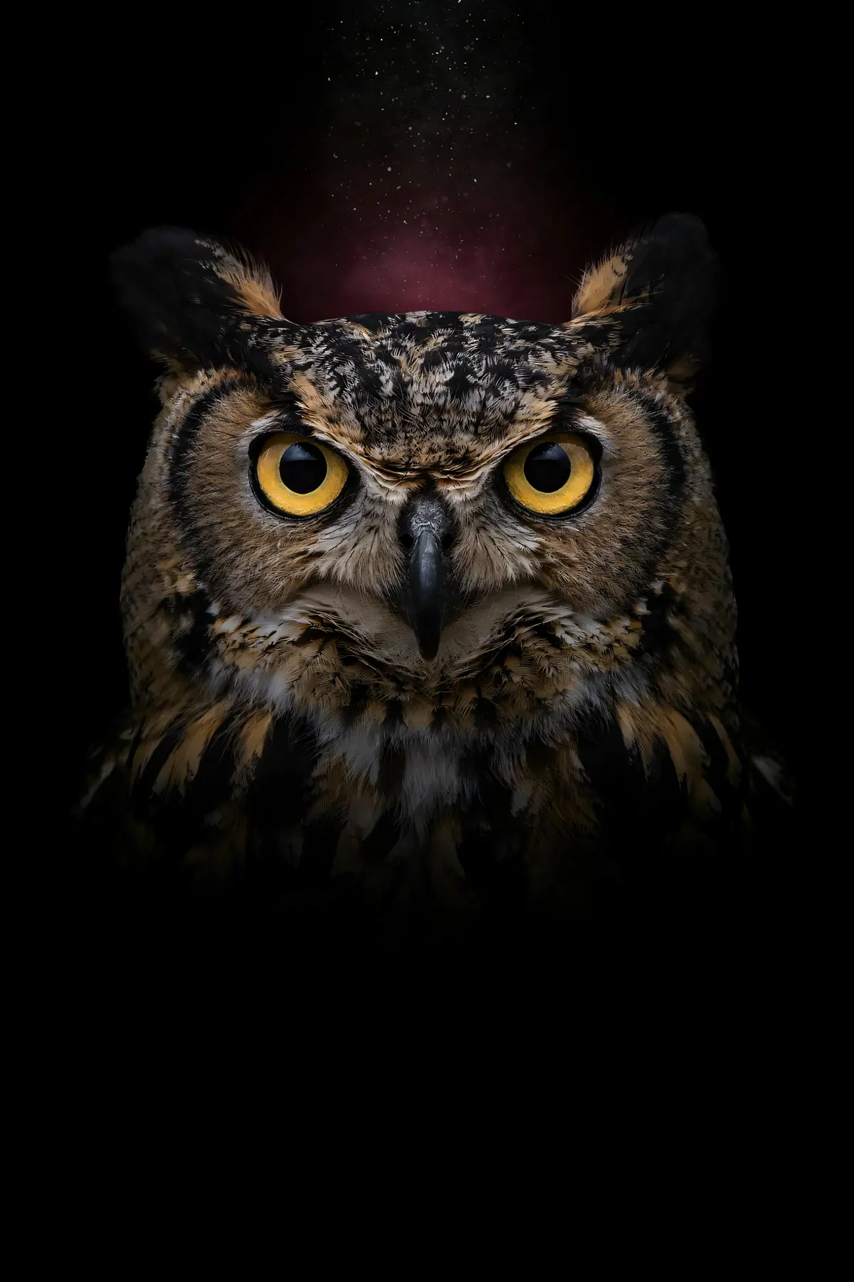 Owl Wall Art — Brass Rim Light Owl Print, brass and black digital art print