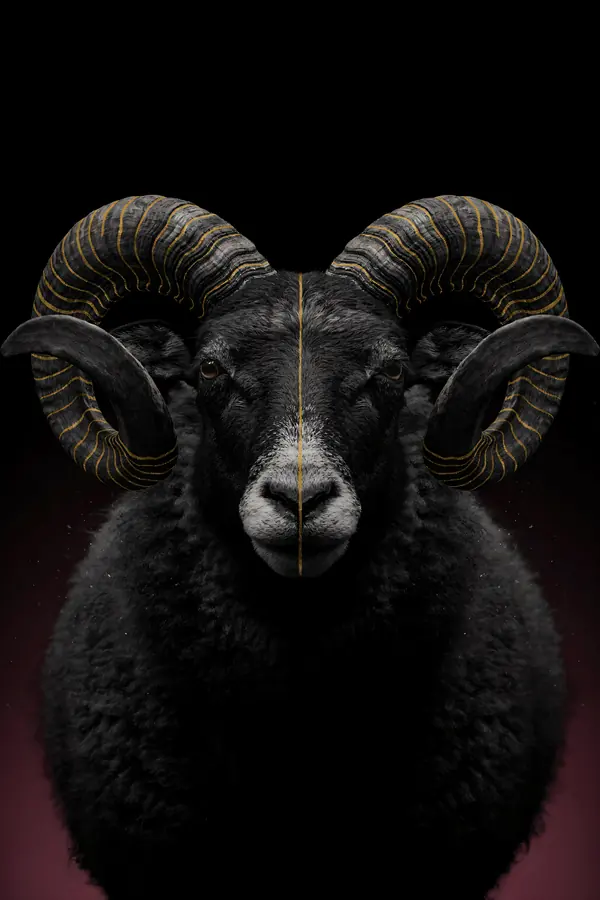 Ram Wall Art — Brass Spiral Horn Ram Print