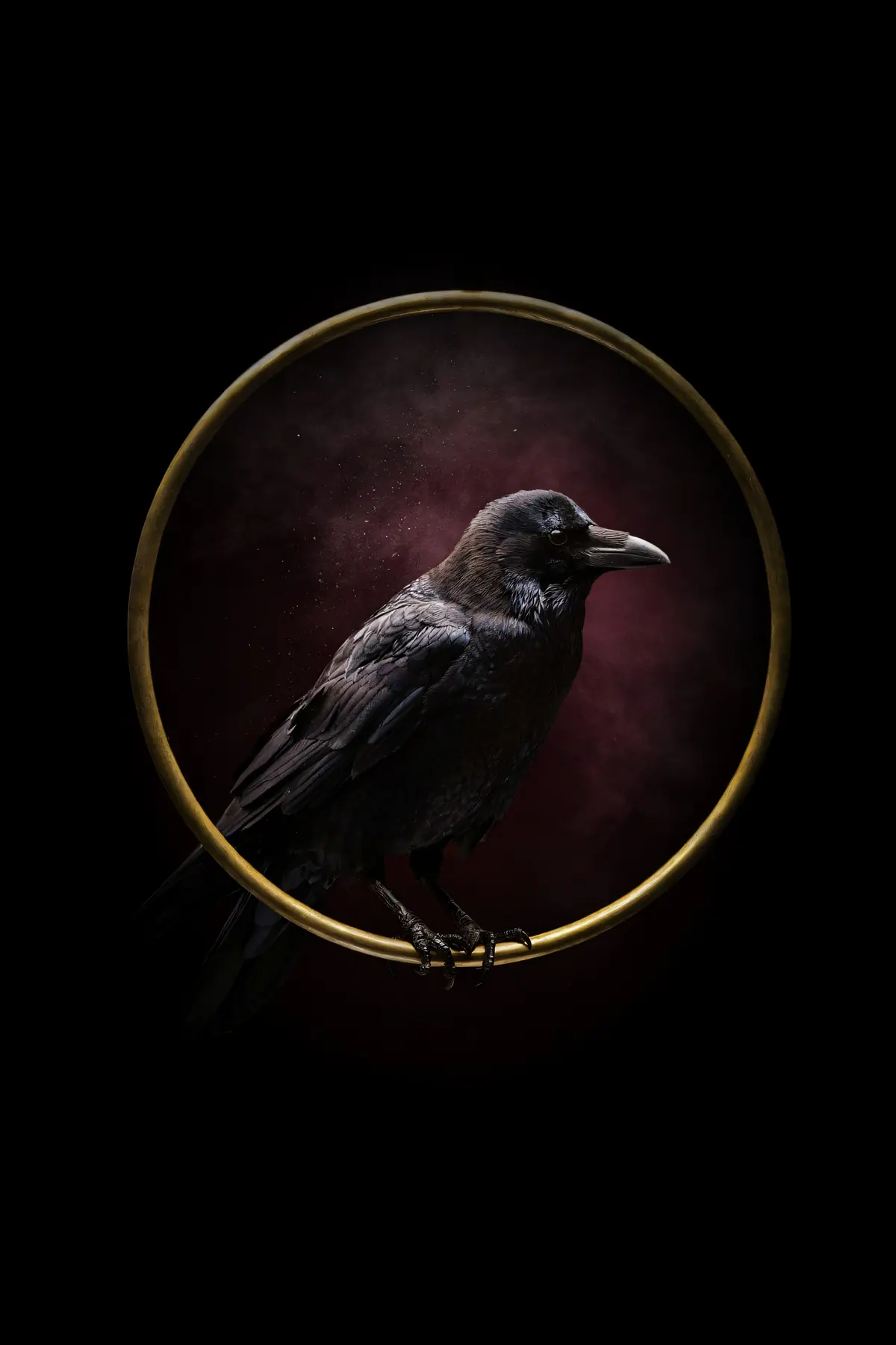 Raven Wall Art — Brass Ring Raven Print, brass and black digital art print