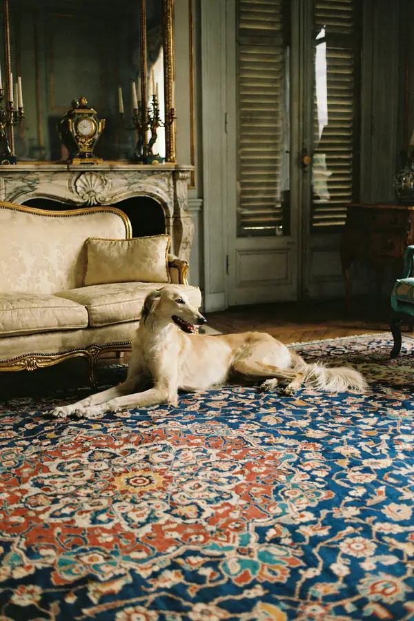 Saluki Wall Art — Drawing Room Print
