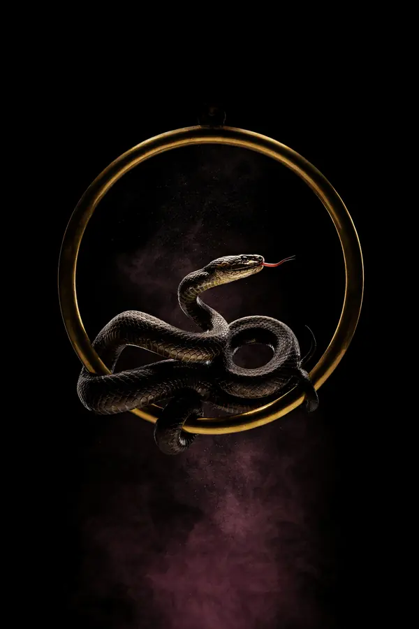 Serpent Wall Art — Brass Ring Snake Print