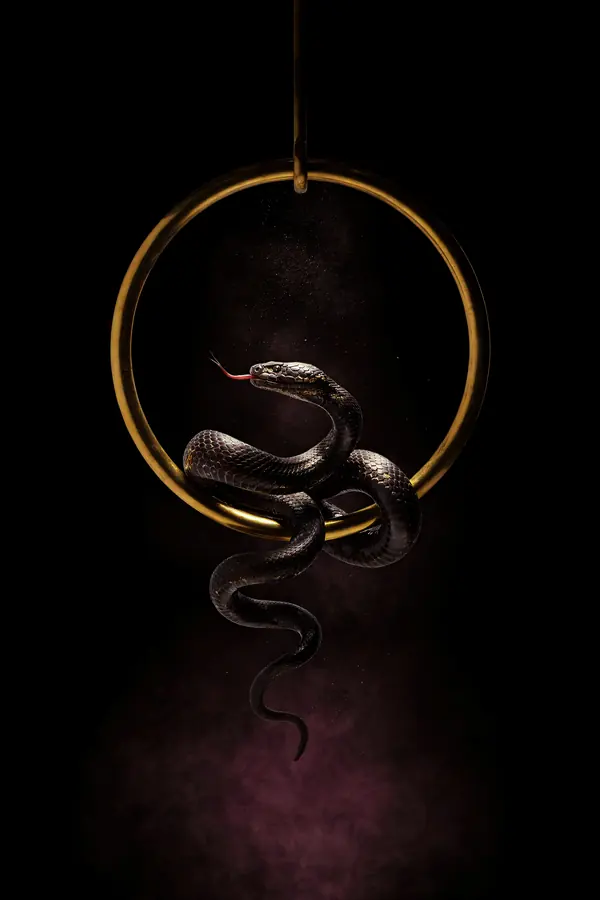 Serpent Wall Art II — Brass Ring Snake Print
