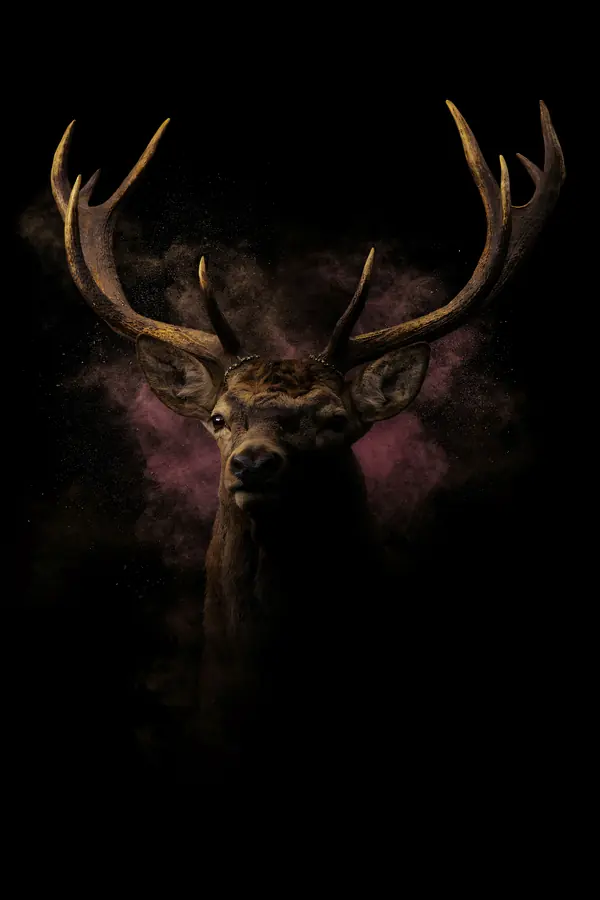 Stag Wall Art — Brass Antler Stag Print