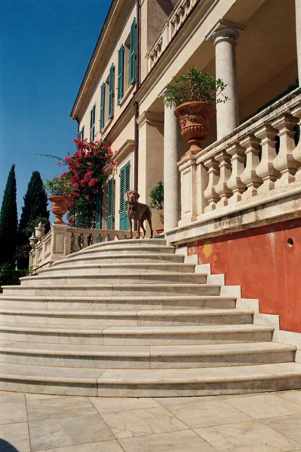 Weimaraner Wall Art — Vintage Villa Steps Print