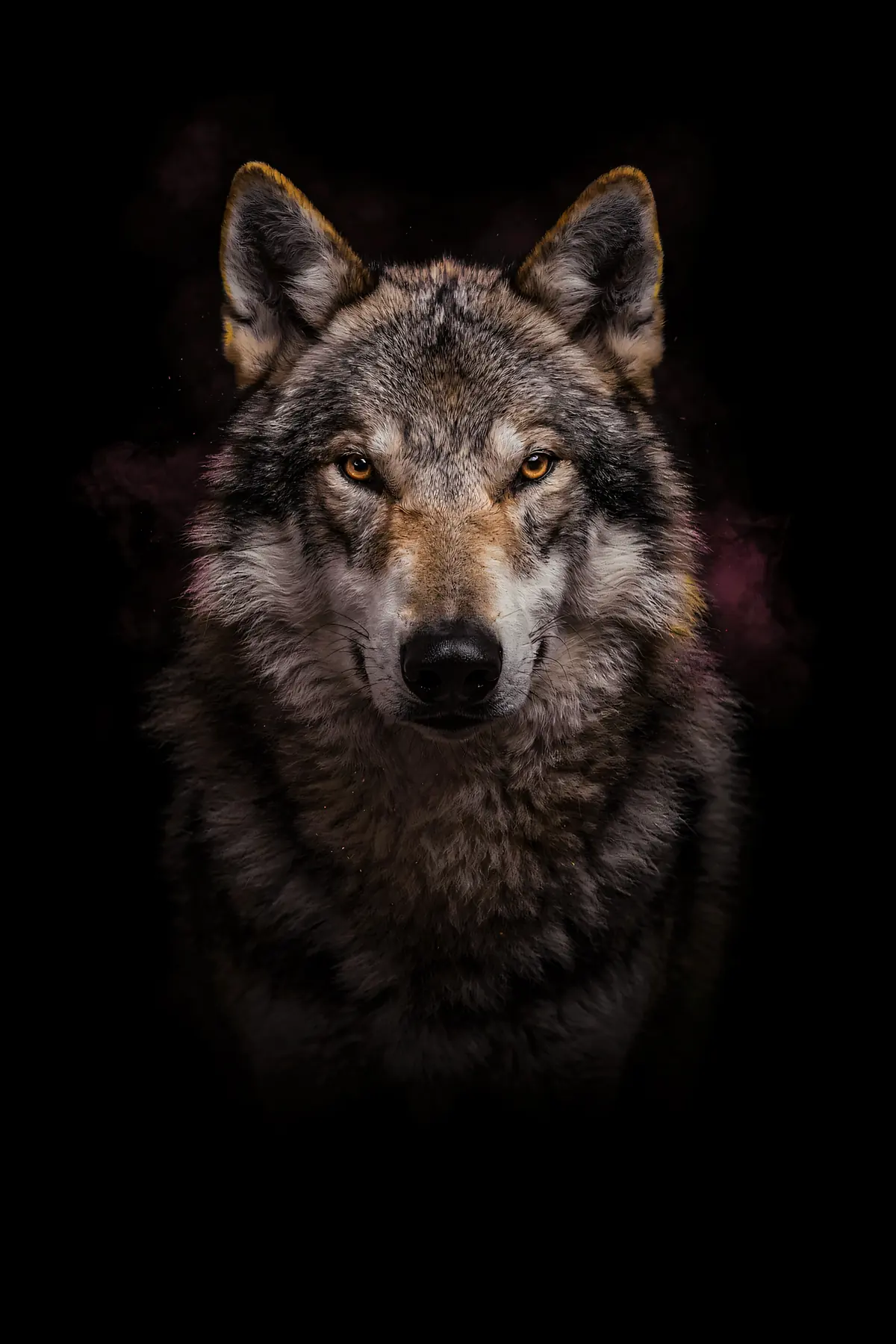 Wolf Wall Art III — Brass Rim Light Wolf Print, brass and black digital art print